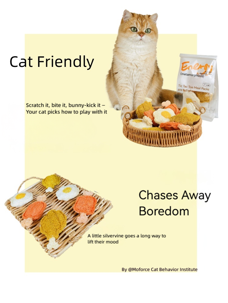 Moforce|High Fun Energy Meal Package Chew Toy – Loofah & Silvervine Edition