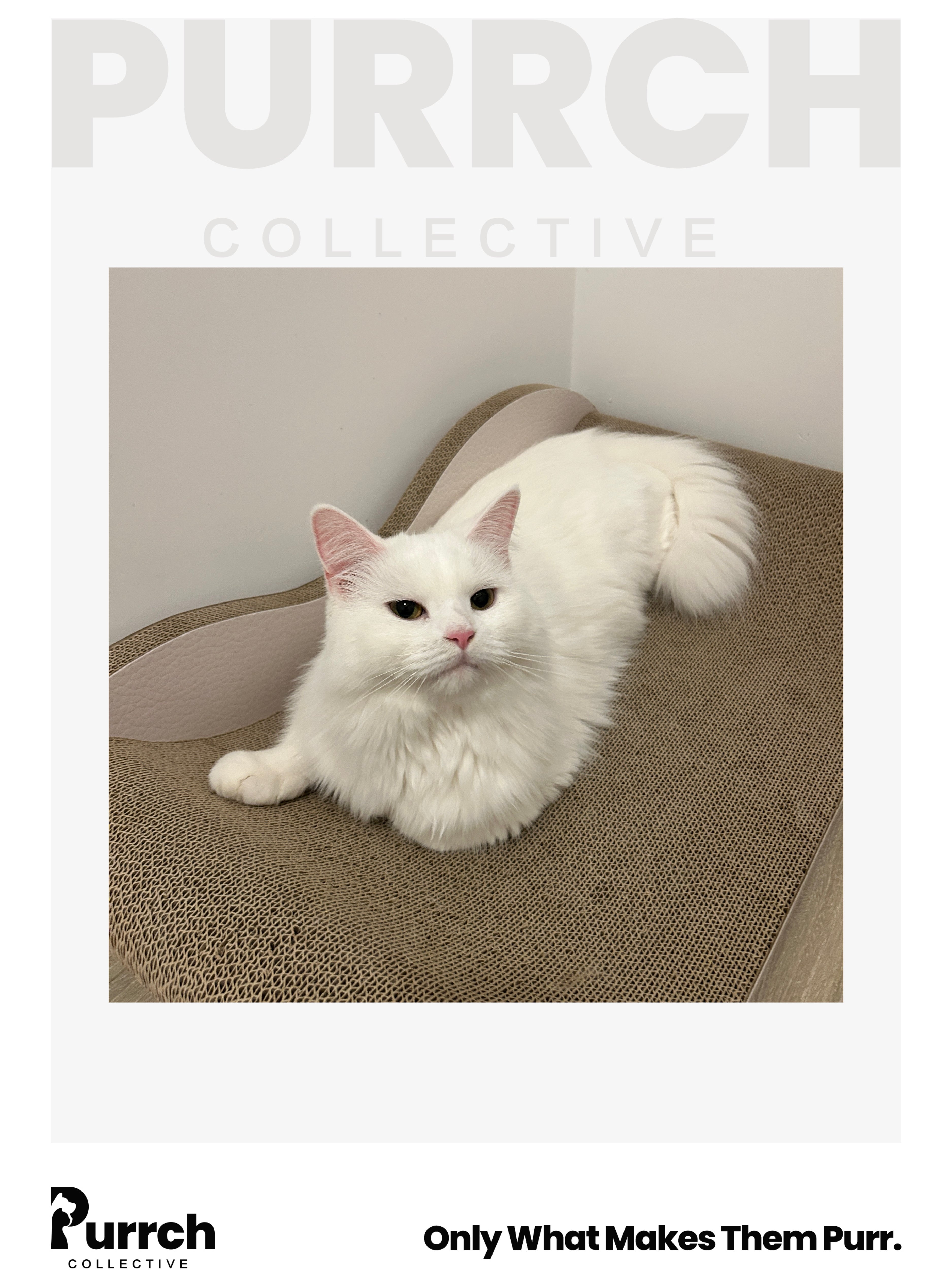 Purrch Collective｜Infinity Ergonomic Cat Scratcher – Sofa