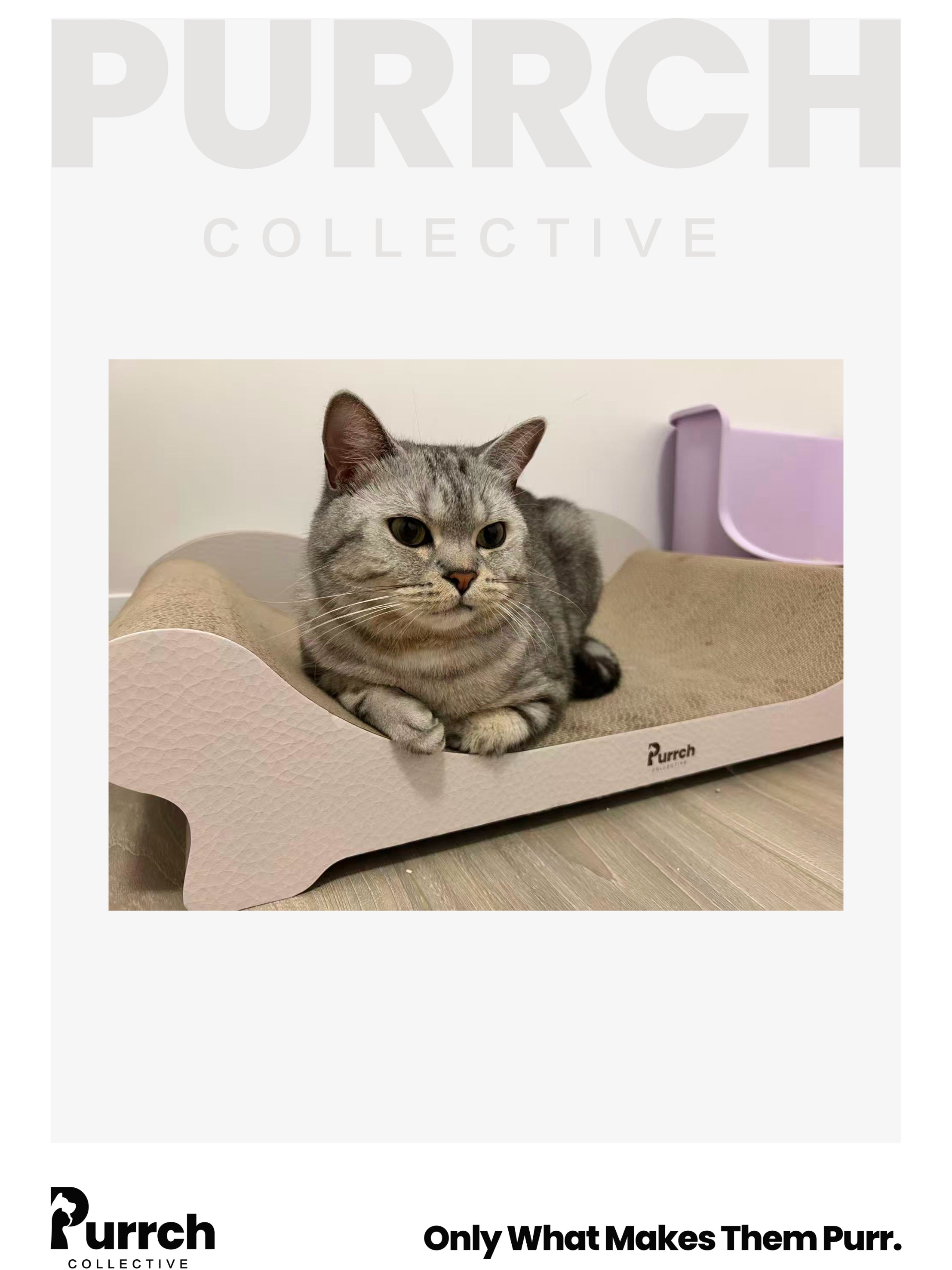 Purrch Collective｜Infinity Ergonomic Cat Scratcher – Sofa