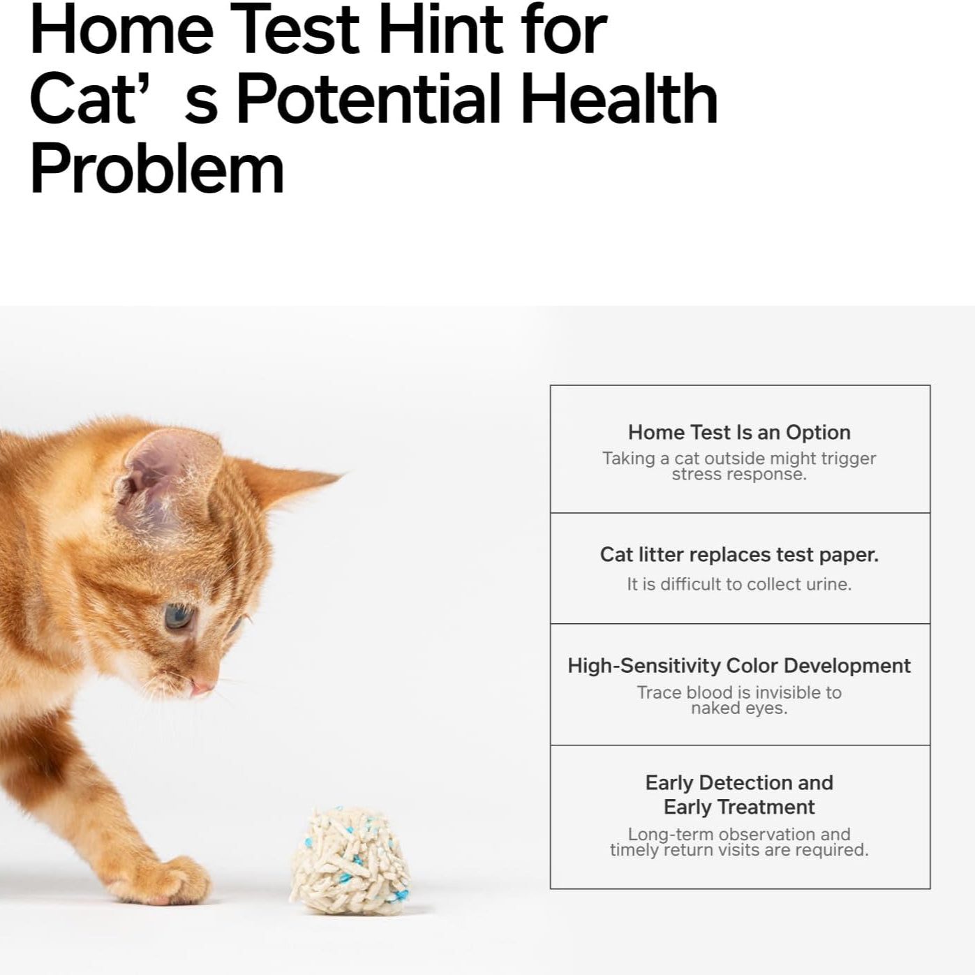 Pidan | Tofu Cat Litter with Occult Blood Test
