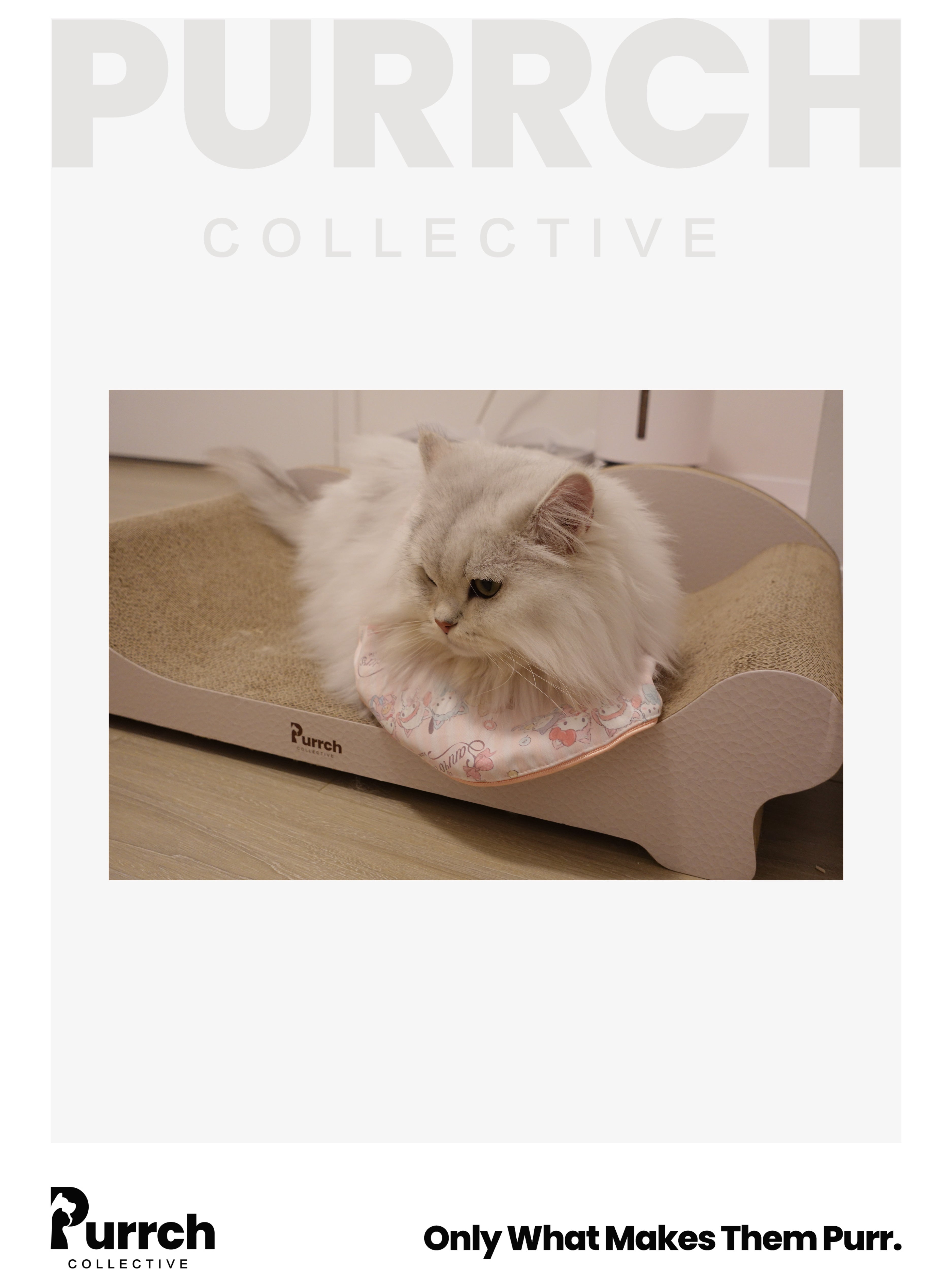 Purrch Collective｜Infinity Ergonomic Cat Scratcher – Sofa