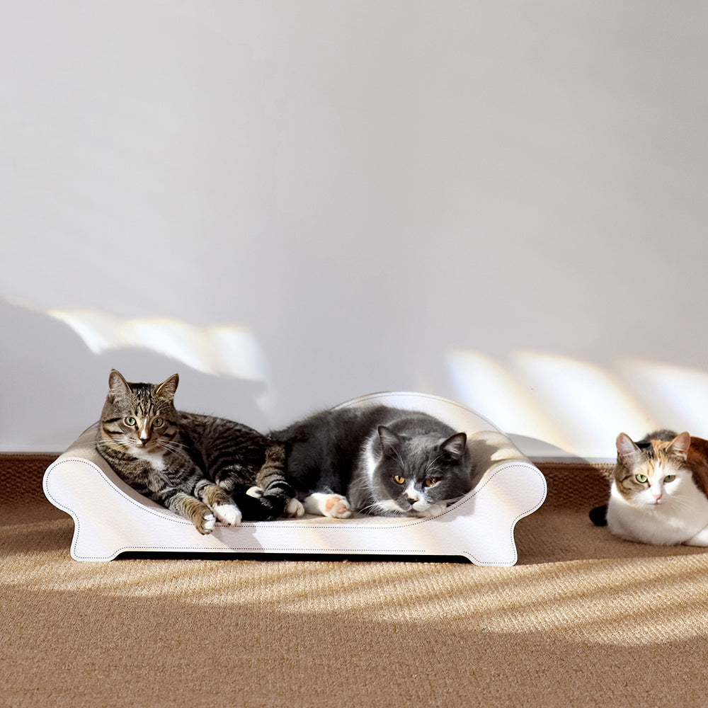 Purrch Collective｜Infinity Ergonomic Cat Scratcher – Sofa